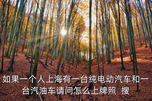 如果一個人上海有一臺純電動汽車和一臺汽油車請問怎么上牌照  搜