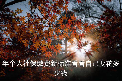 社保交費，年個人社保繳費新標(biāo)準(zhǔn)看看自己要花多少錢
