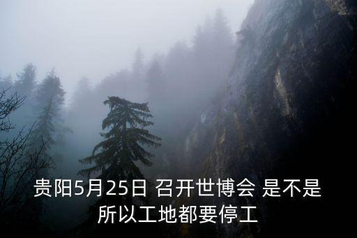 貴陽5月25日 召開世博會 是不是所以工地都要停工