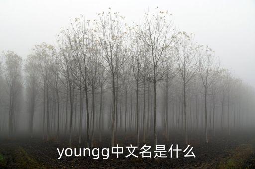youngg中文名是什么