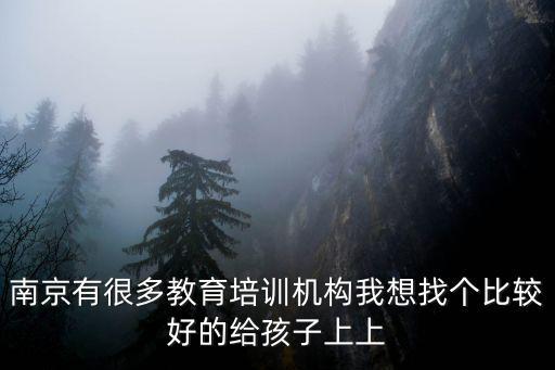 南京有很多教育培訓機構我想找個比較好的給孩子上上