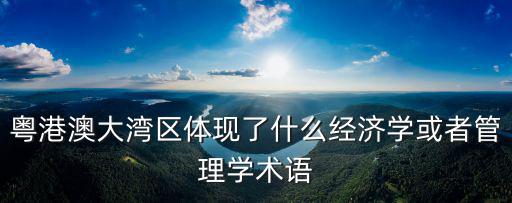 粵港澳大灣區體現了什么經濟學或者管理學術語