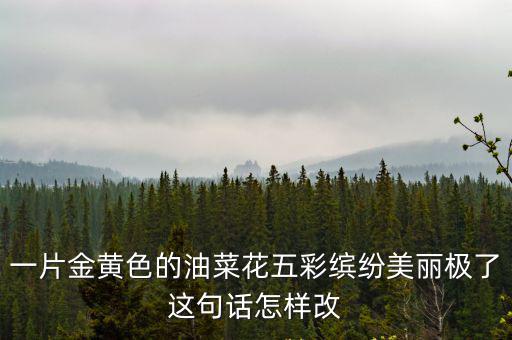 一片金黃色的油菜花五彩繽紛美麗極了這句話怎樣改
