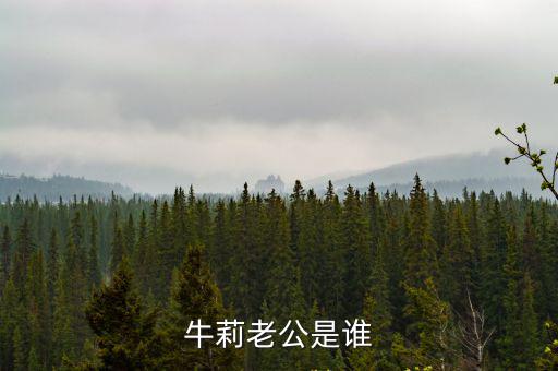 牛莉老公是誰