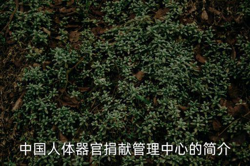 中國人體器官捐獻(xiàn)管理中心的簡介