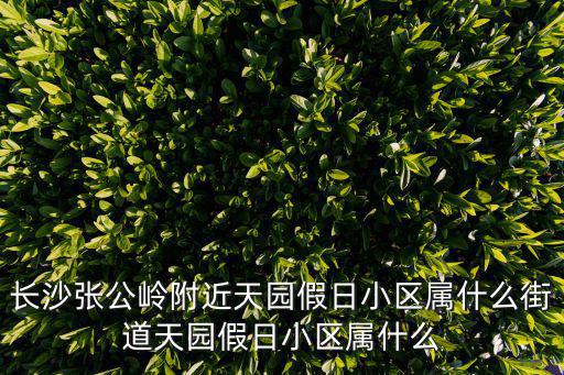 長沙張公嶺附近天園假日小區屬什么街道天園假日小區屬什么