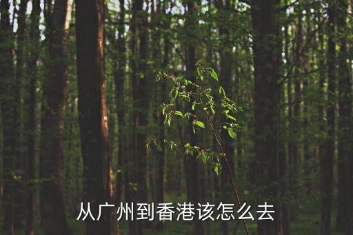 從廣州到香港該怎么去