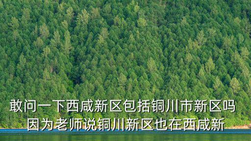 敢問一下西咸新區包括銅川市新區嗎 因為老師說銅川新區也在西咸新