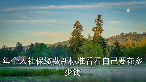 年個人社保繳費新標準看看自己要花多少錢