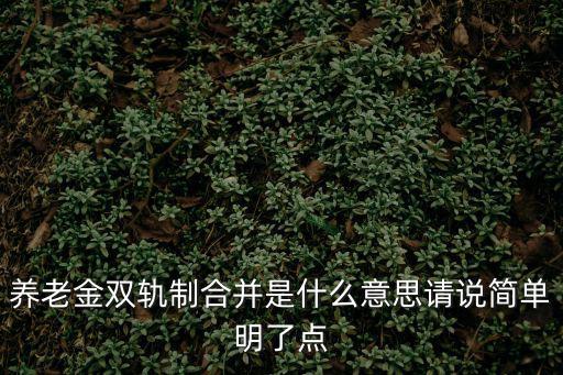 養(yǎng)老金雙軌制合并是什么意思請(qǐng)說(shuō)簡(jiǎn)單明了點(diǎn)