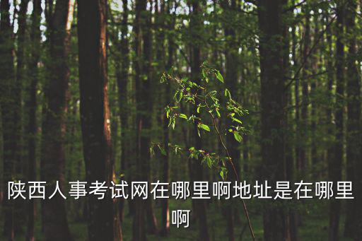 陜西人事考試網(wǎng)在哪里啊地址是在哪里啊