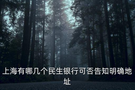 上海有哪幾個民生銀行可否告知明確地址