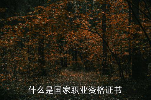 國家證書，什么是國家職業資格證書