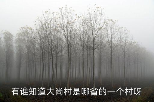 尚村，有誰知道大尚村是哪省的一個村呀