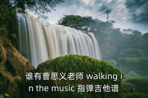 誰有曹思義老師 walking in the music 指彈吉他譜