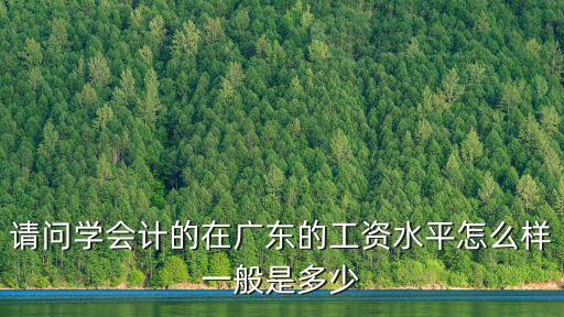 請問學會計的在廣東的工資水平怎么樣一般是多少