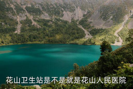 花山新城，武漢洪山區花山村新城家園電梯還建房有公攤面積嗎