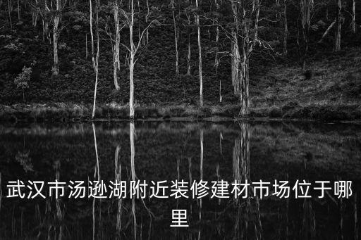 武漢市湯遜湖附近裝修建材市場位于哪里