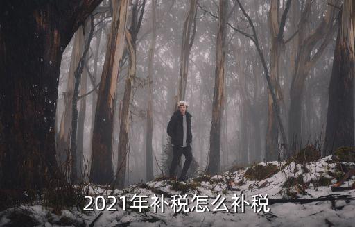 2021年補稅怎么補稅