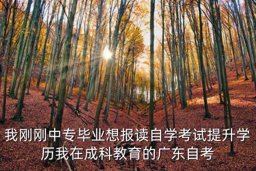 廣東省教育網官網，我剛剛中專畢業想報讀自學考試提升學歷我在成科教育的廣東自考