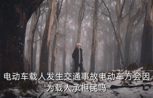 電動車載人，電動車載人發生交通事故電動車方會因為載人承擔民嗎