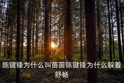 陳鍵鋒為什么叫苗苗陳鍵鋒為什么躲著舒暢