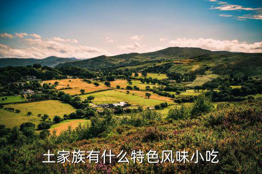 土家族有什么特色風味小吃