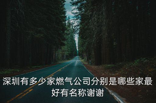 深圳天然氣，大鵬中海石油深圳天然氣公司在哪里