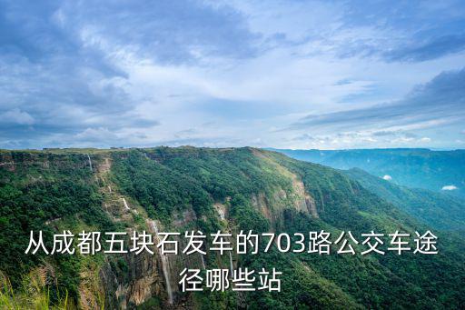 703路公交車路線，703路武漢公交車線路站點
