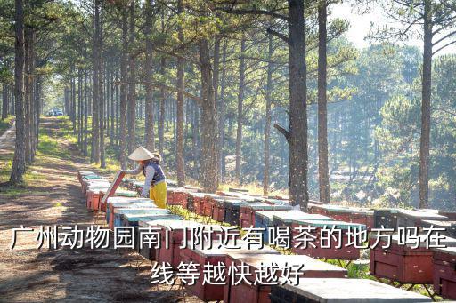 廣州動物園南門附近有喝茶的地方嗎在線等越快越好