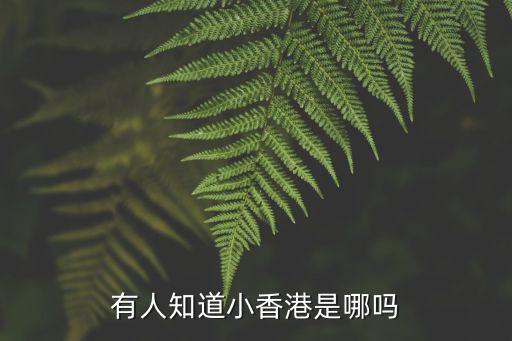 有人知道小香港是哪嗎