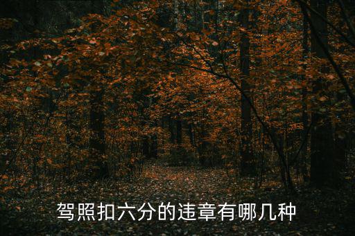 駕照違章，駕駛證出現的違章怎么處理