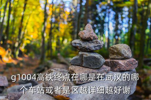 g1004高鐵終點在哪是在武漢的哪個車站或者是區越詳細越好謝
