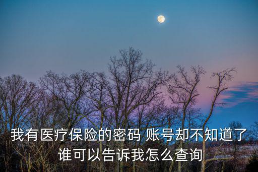 我有醫療保險的密碼 賬號卻不知道了 誰可以告訴我怎么查詢