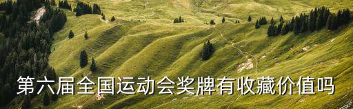 第六屆全國(guó)運(yùn)動(dòng)會(huì)獎(jiǎng)牌有收藏價(jià)值嗎