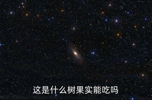 這是什么樹(shù)果實(shí)能吃嗎