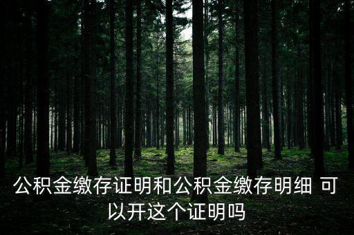 公積金繳納證明，公積金繳存證明和公積金繳存明細 可以開這個證明嗎