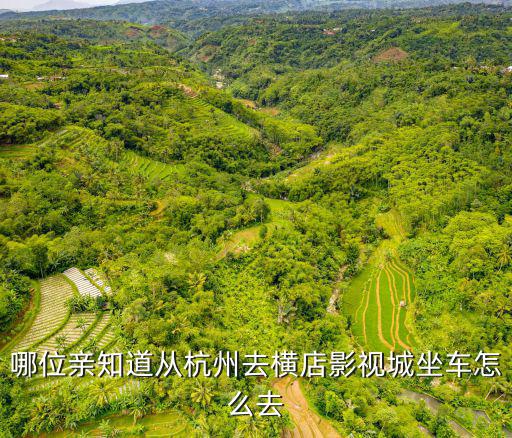 哪位親知道從杭州去橫店影視城坐車怎么去