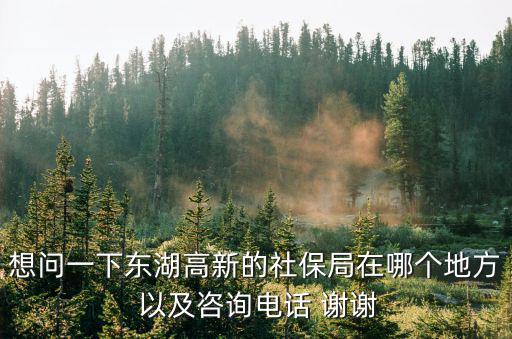 想問一下東湖高新的社保局在哪個地方 以及咨詢電話 謝謝