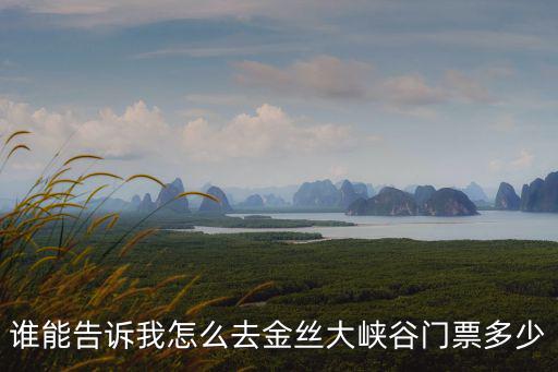 誰能告訴我怎么去金絲大峽谷門票多少