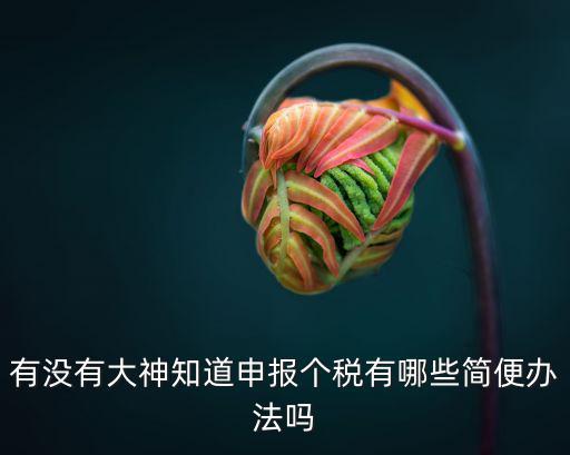 有沒(méi)有大神知道申報(bào)個(gè)稅有哪些簡(jiǎn)便辦法嗎