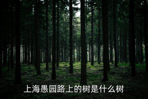愚園，珠海北嶺愚園在那里