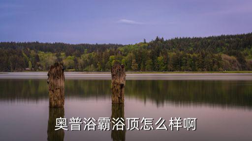 奧普浴霸浴頂怎么樣啊