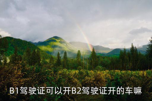 B1駕駛證可以開B2駕駛證開的車嘛