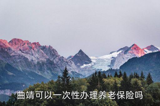 曲靖可以一次性辦理養老保險嗎