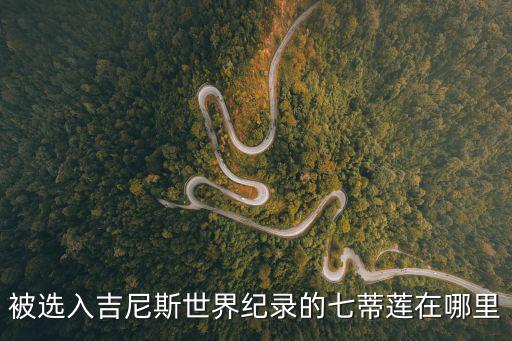 被選入吉尼斯世界紀錄的七蒂蓮在哪里