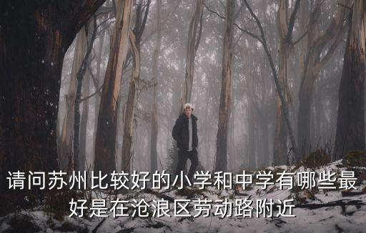 請問蘇州比較好的小學和中學有哪些最好是在滄浪區勞動路附近