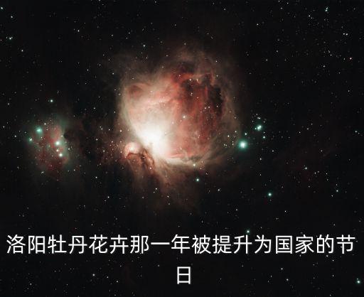 洛陽牡丹花卉那一年被提升為國家的節日