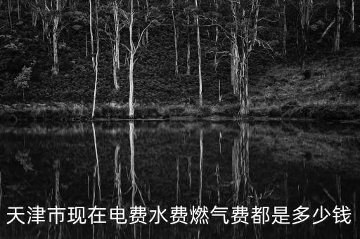 燃氣費，1平方米燃氣費是16元1立方米多少元