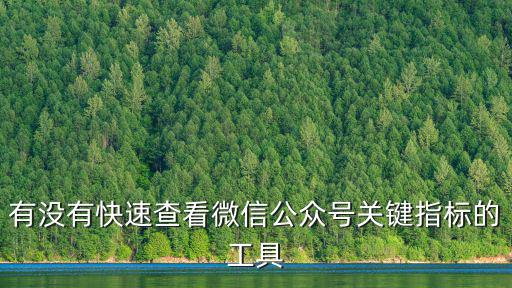 指標查詢，如何查詢搖號結果